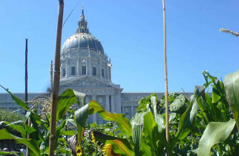Slow Food Victory Garden in San Francisco