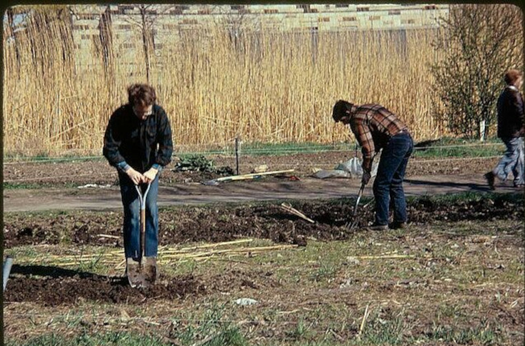 gardening
