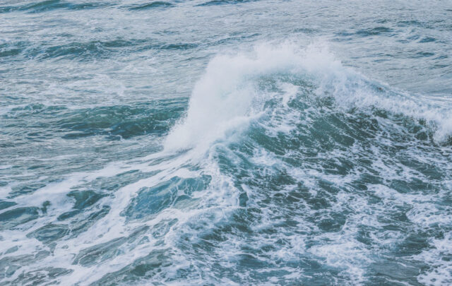 the ocean