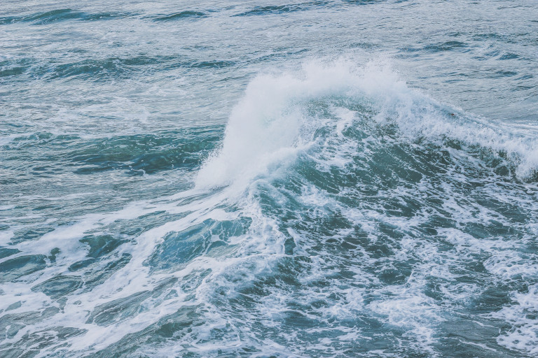 the ocean
