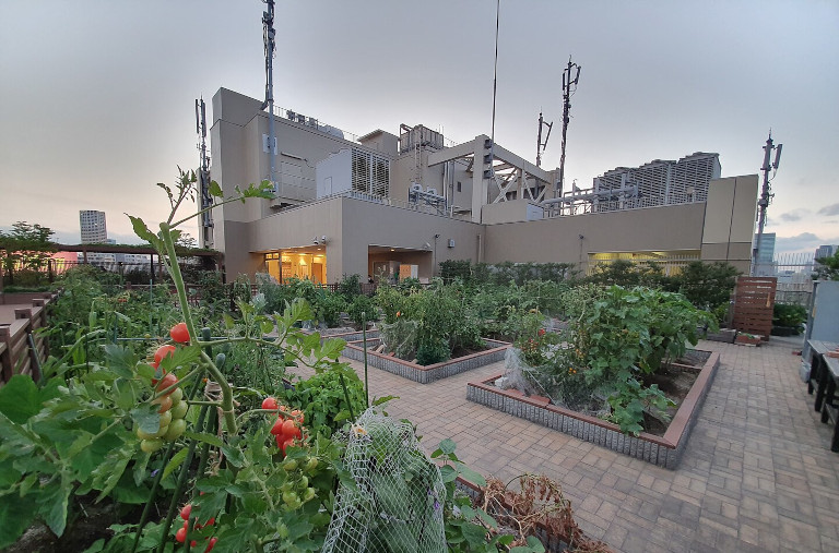 community rooftop garden near Tokyo