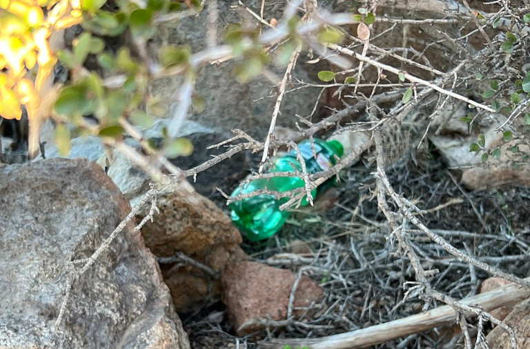 plastic pollution