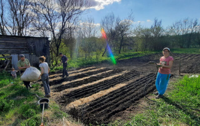 Gardening in Ukraine