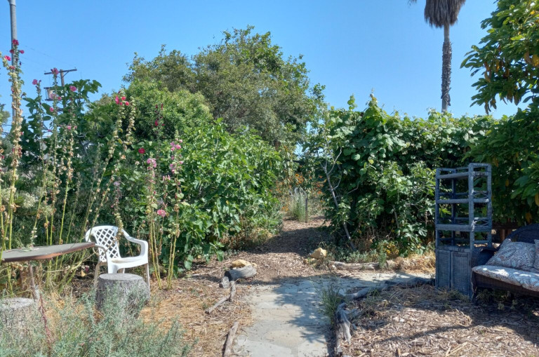 LAEV learning garden