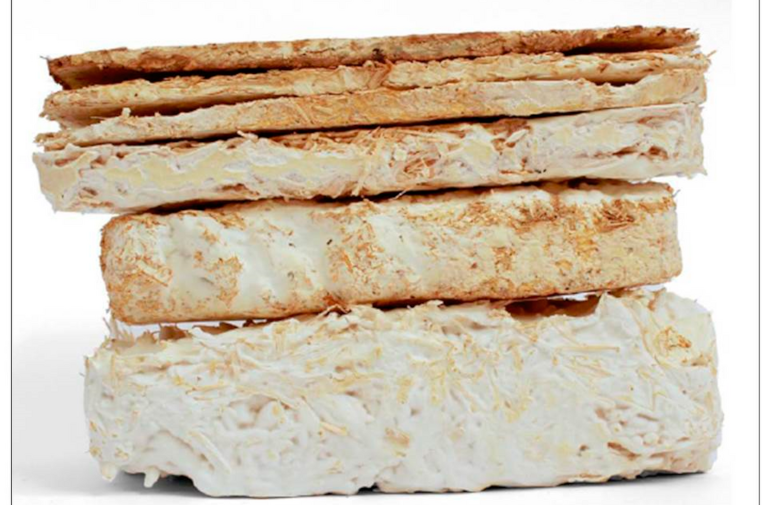 mycelium composite foam