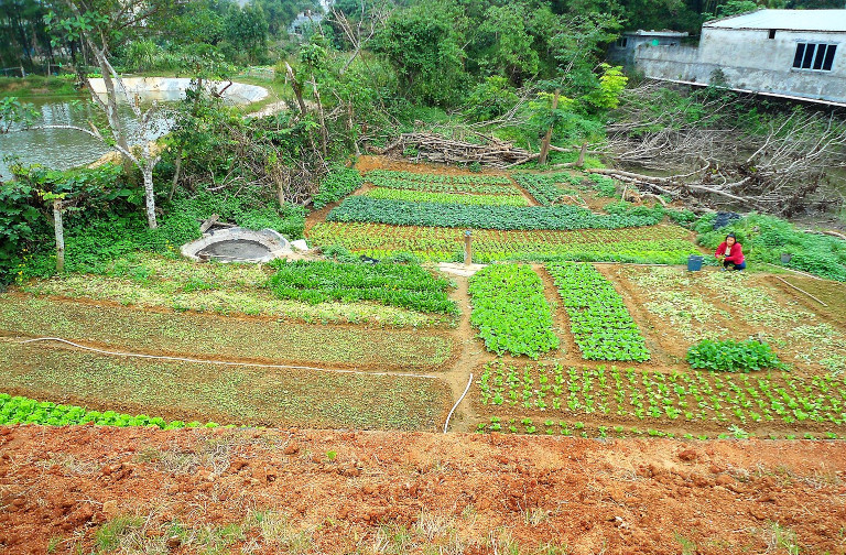 small farm