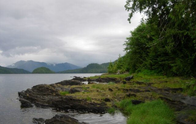 Tongass National Forest