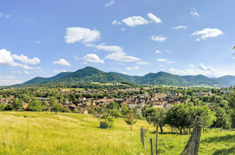 French farm land
