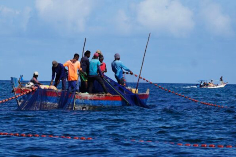 Fishing off Mafia