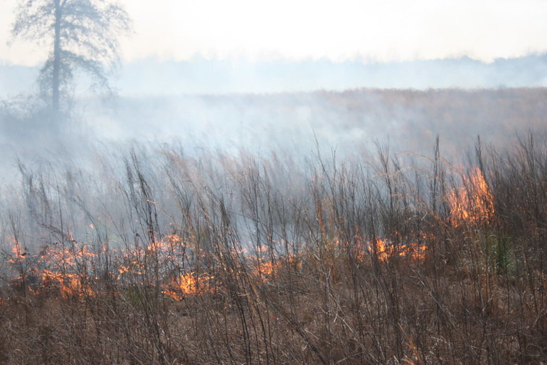 Wildfires