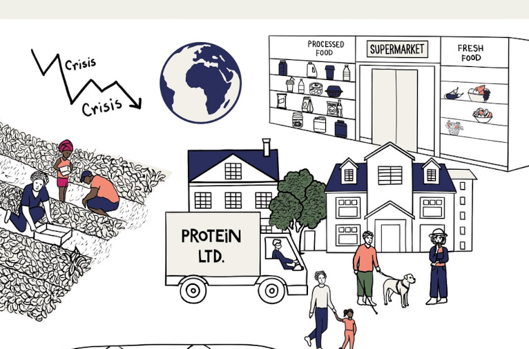 food report cover