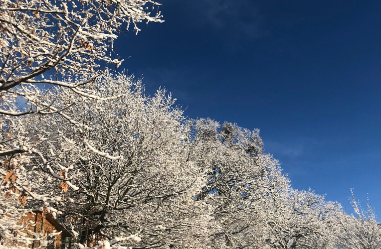winter solstice
