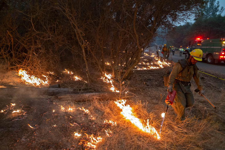 controlled burn