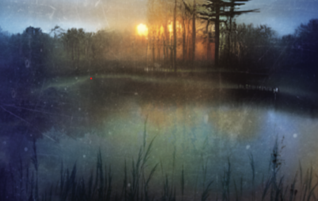 Bookcover