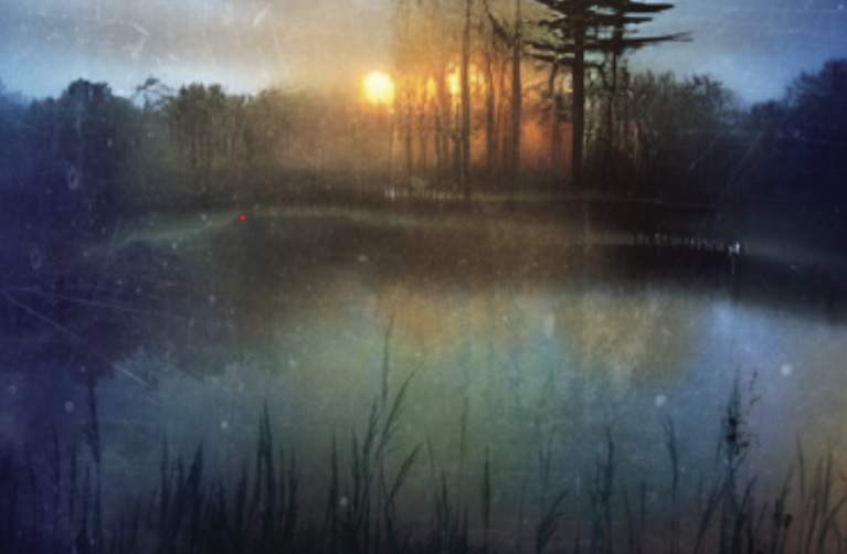 Bookcover