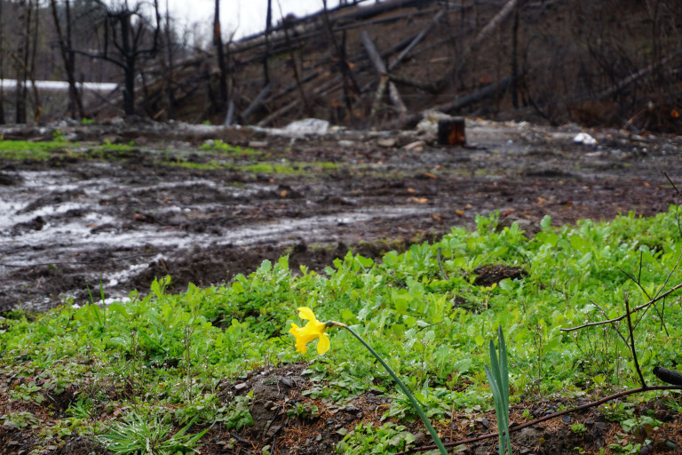after the fire
