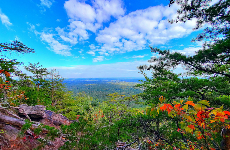 nature