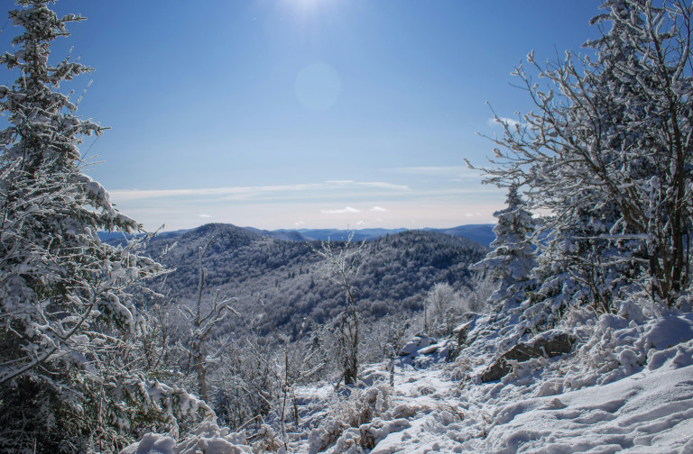 snowy scene