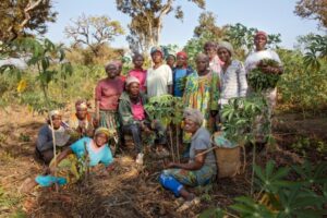 Women's co-op in Cameroon