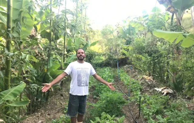 Michel on the lush, plentiful syntropic farming site