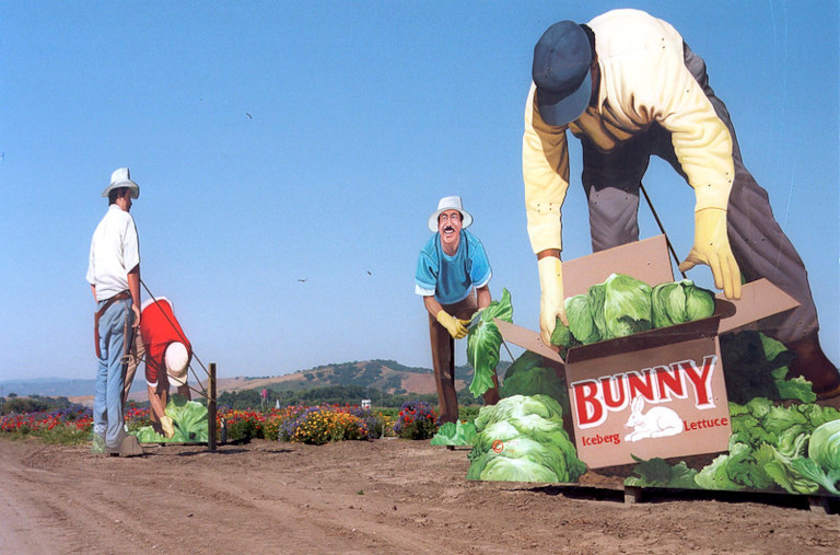 Farm workers