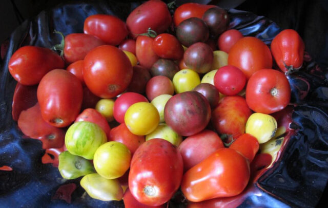 Fresh food