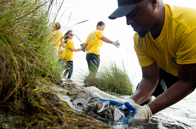 Oyster reef restoration
