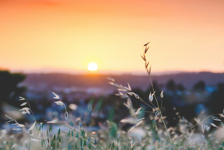 sunrise