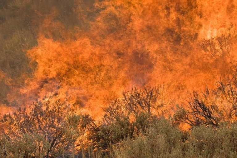 Castle Rock wildfire