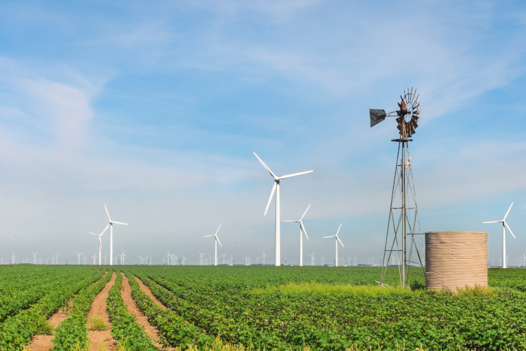 Wind farm