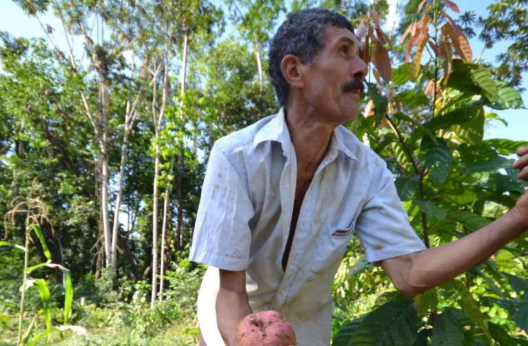 Organic farm in Brazil