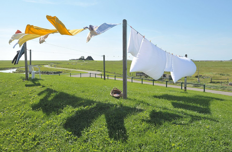 clothes line