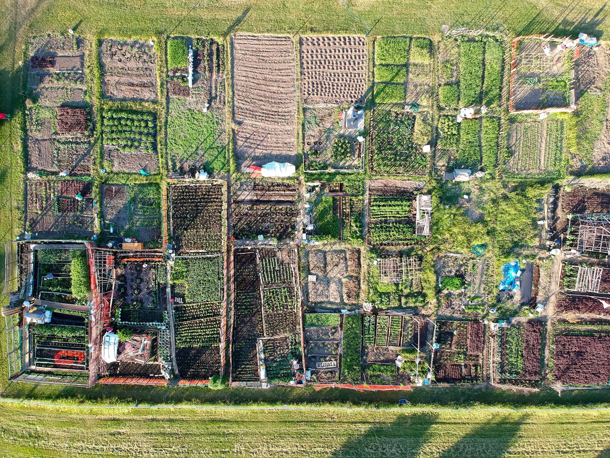 Neighbourhood urban garden