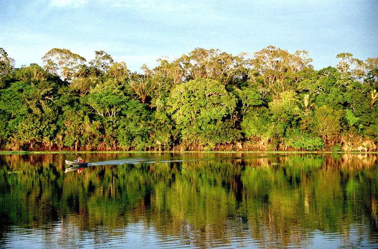 Amazonia