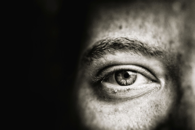human eye