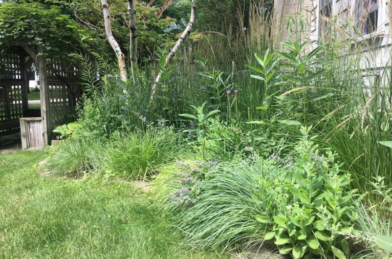 The reworked garden