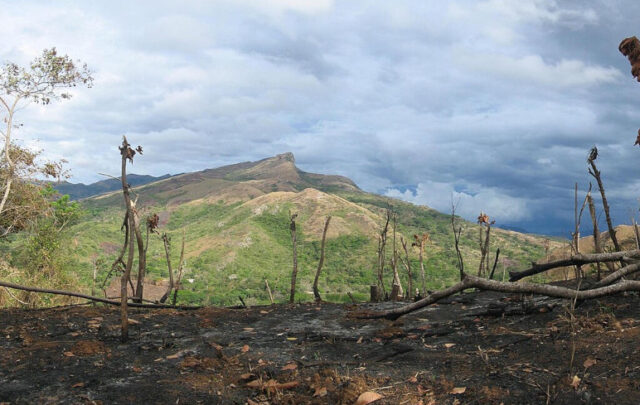 Scorched earth after swiddening