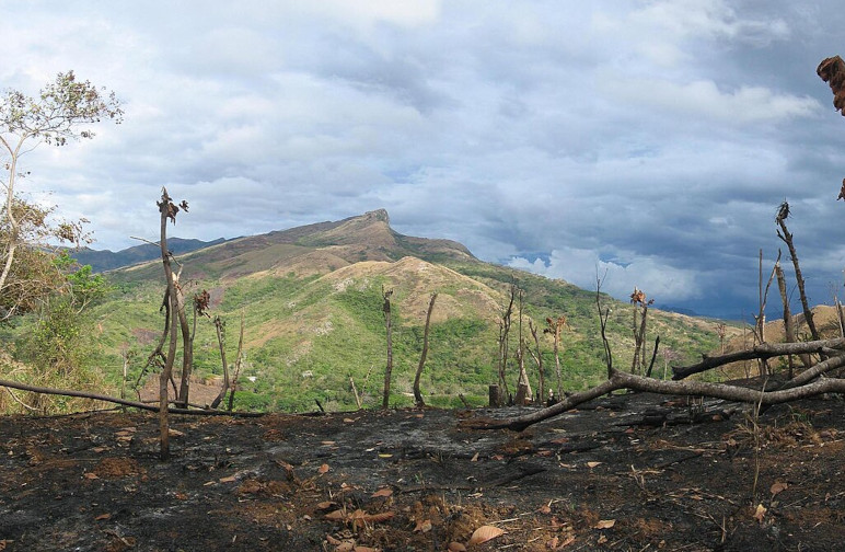 Scorched earth after swiddening
