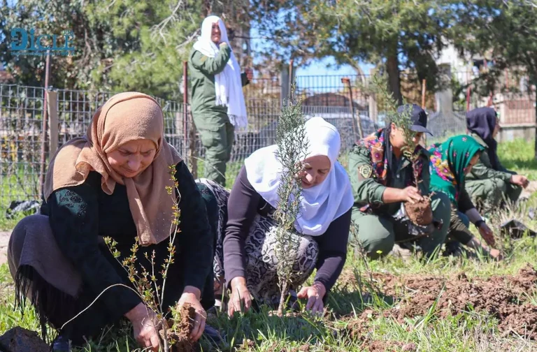 Tree planting in Rojava