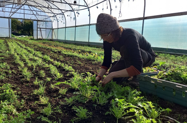 Grower Jo