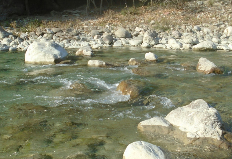 rocks in the river