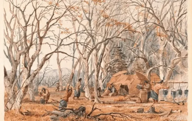 Indian Sugar Camp