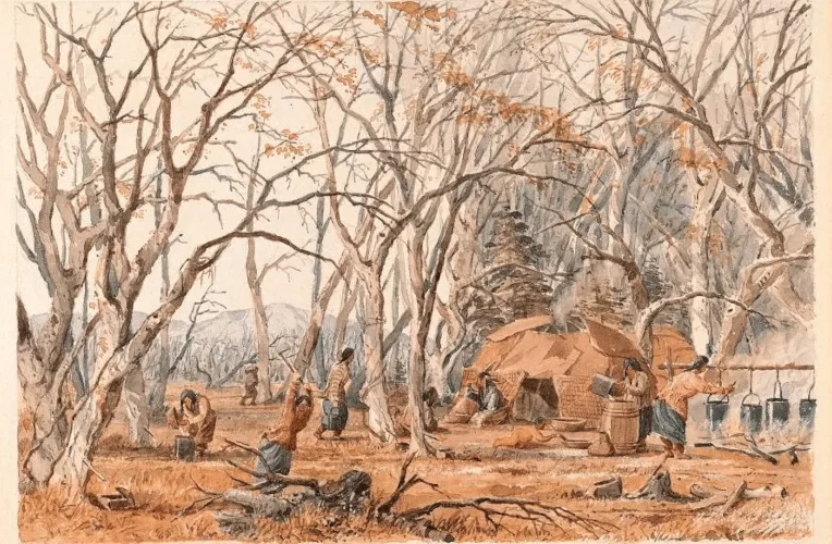 Indian Sugar Camp