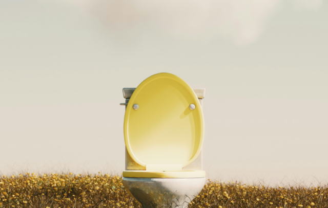toilet